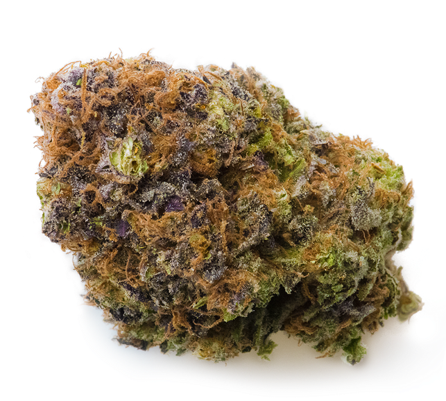 Medreleaf Rex Strain (644x775), Png Download