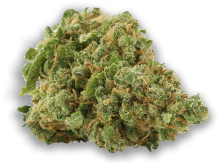 Conspiracy Kush - Cannabis Sativa (480x368), Png Download