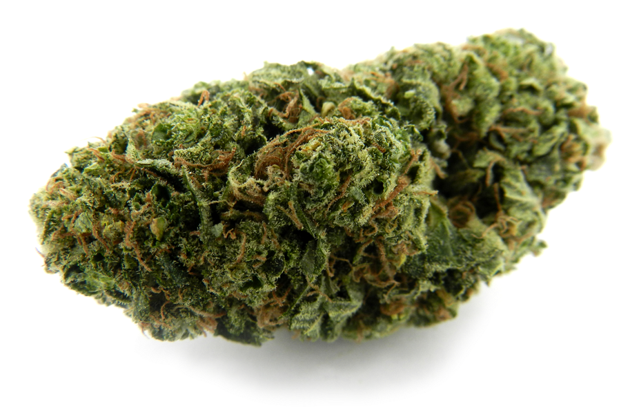 Blueberry Silver Tip - Weed Top Png (1000x750), Png Download