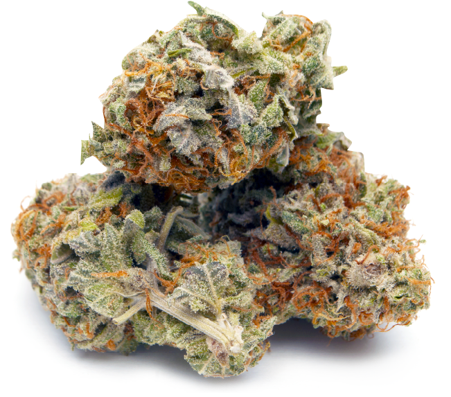 About Us - Bud (650x615), Png Download