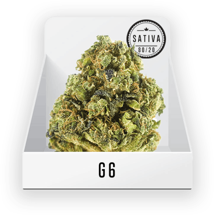 Medicine Man Denver - Medicine Man (770x770), Png Download