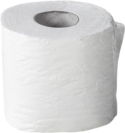 Toilet Paper (480x425), Png Download