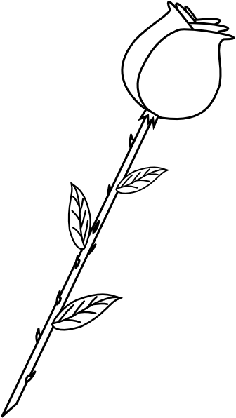 B&w Rose Png (372x595), Png Download