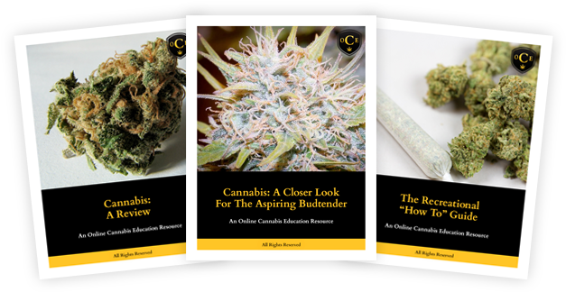 Course Materials - Cannabis Bud (650x330), Png Download