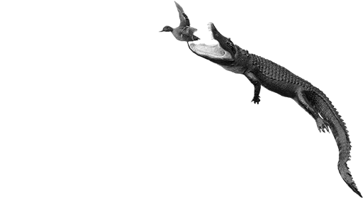 Reptiles - Reptile (535x326), Png Download