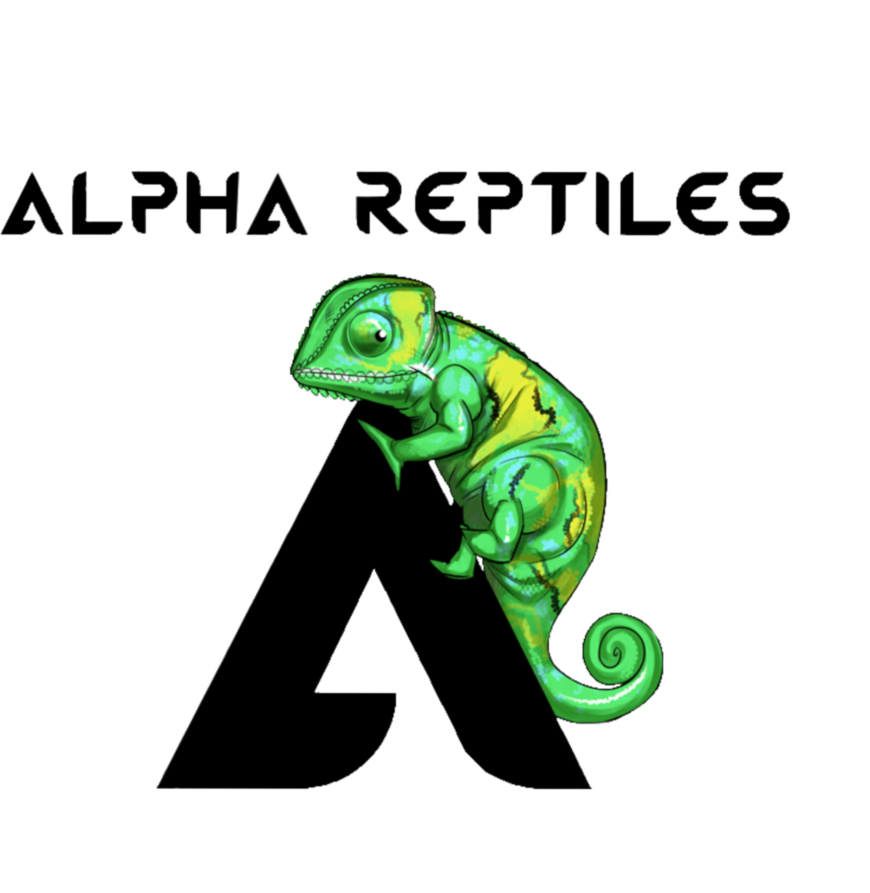 Alpha Reptiles (2048x2048), Png Download