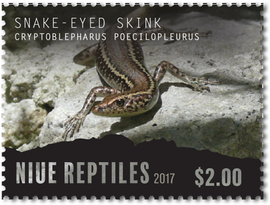 Single Stamp - Postage Stamp (600x600), Png Download