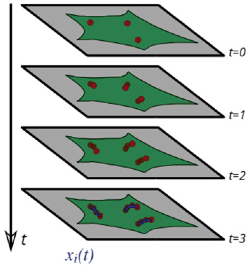 In This Simple Illustration Of Particle Tracking, T=0, - Christmas Tree (1050x916), Png Download
