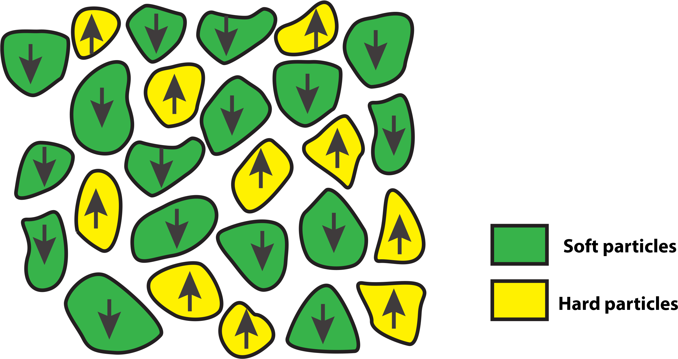 Orientation Of The Magnetic Particles In A Sample After (2415x1343), Png Download