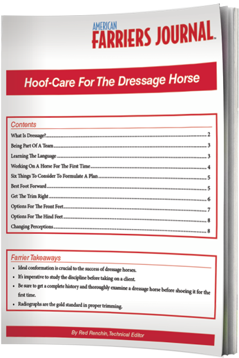 Dressage Hoof Care Presents Uncommon Challenges - White Line Disease (400x554), Png Download