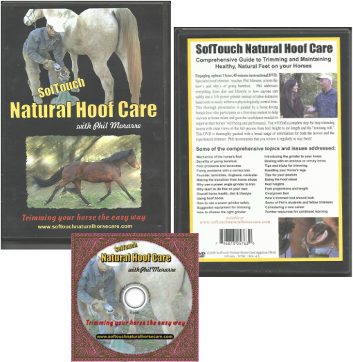 Phil Morarre Explains And Demonstrates How To Use The - Stallion (510x523), Png Download