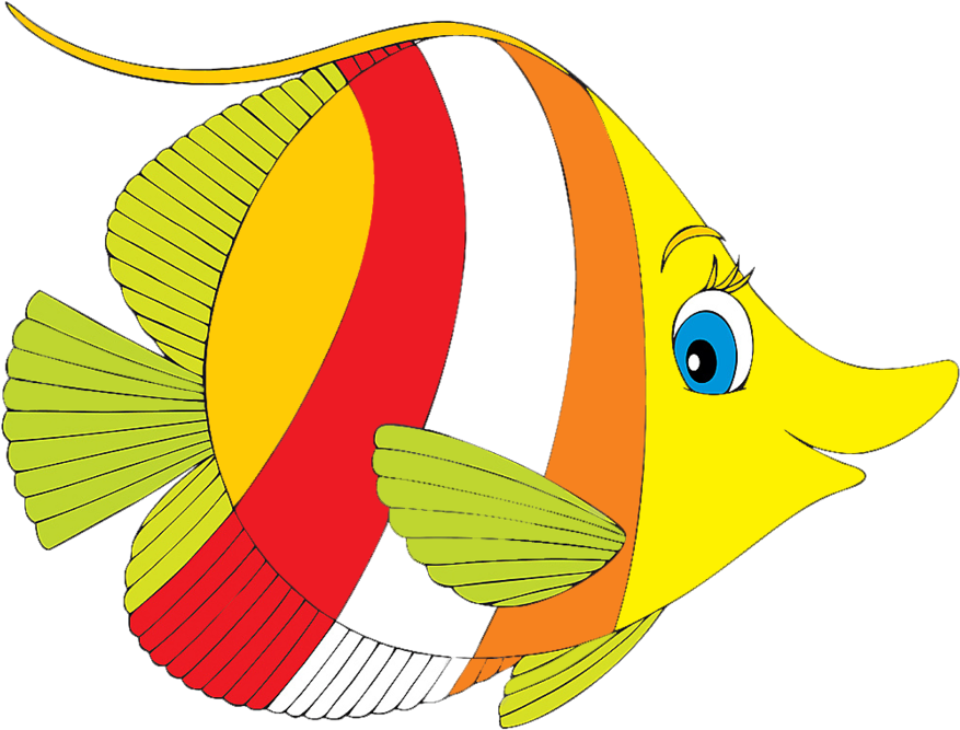 Peces De Colores Png - Tropical Fish Clip Art (899x691), Png Download