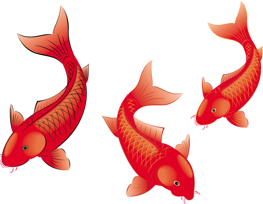 De Alta Definicion De Peces De Estética Png De Pintura - 红 鲤鱼 (1024x1024), Png Download