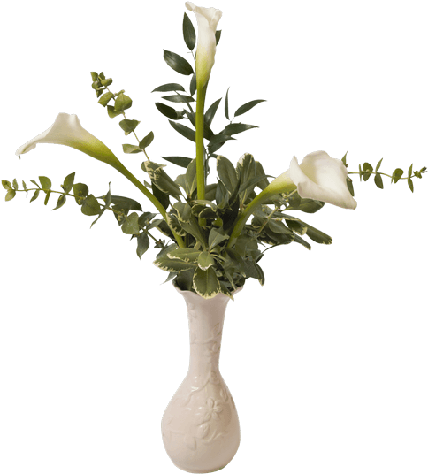 Mini Calla Bud Vase • $26 - Phoenix Canariensis Palmier Des Canaries (500x611), Png Download