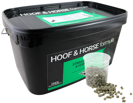 Diamond Hoof & Horse Formula - Horse (700x467), Png Download