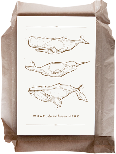 Whales - Mail Bag (500x500), Png Download