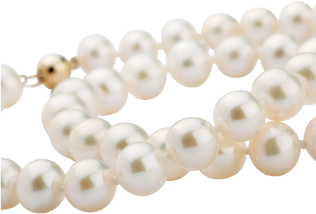 White Pearl Necklace - Pearl (450x366), Png Download