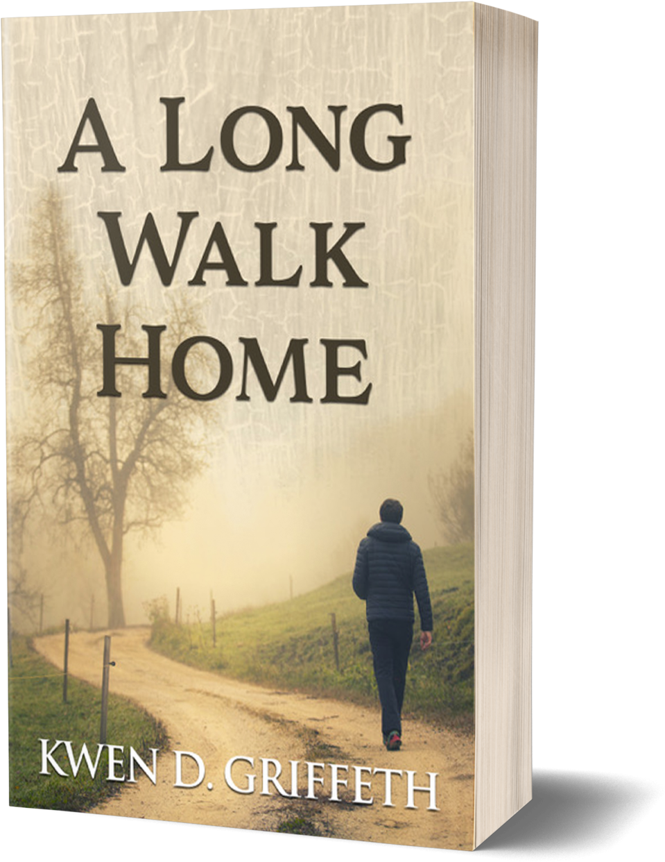 A Long Walk Home Book Mockup (1000x1261), Png Download