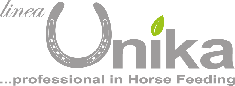 Linea Unika - Etika Condominios (945x472), Png Download