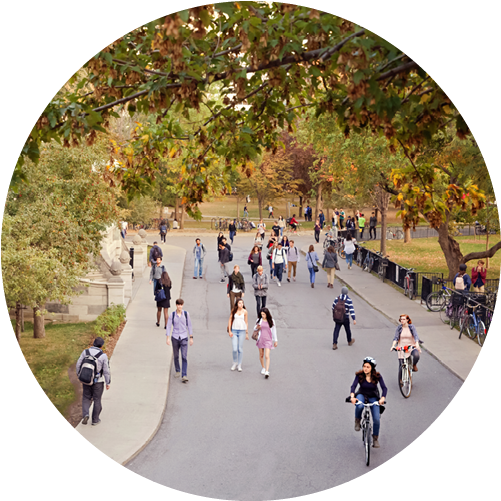 Students Walking On Campus - Mcgill University (500x525), Png Download