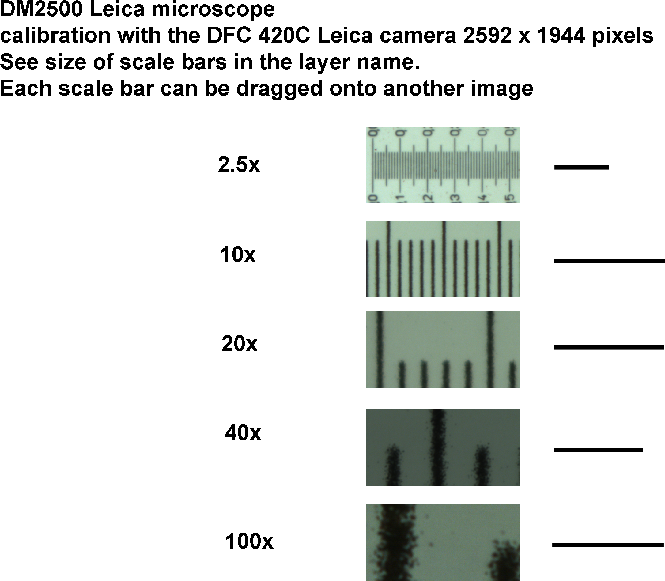 Calibrationdm2500 (2592x1944), Png Download