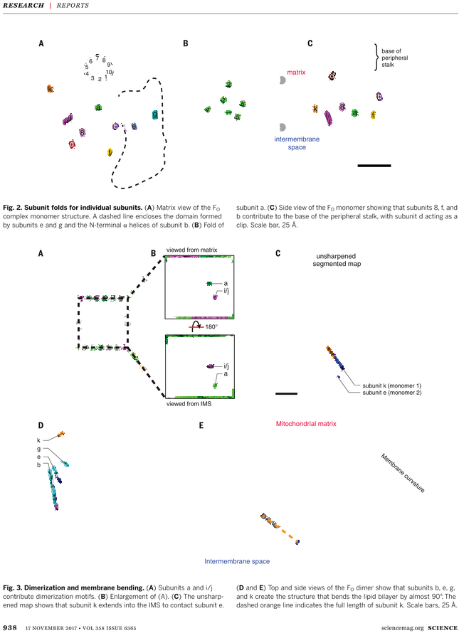 Diagram (729x929), Png Download
