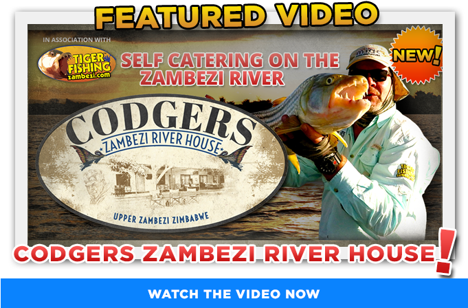 We Would Like To Proudly Introduce - Poster (680x454), Png Download