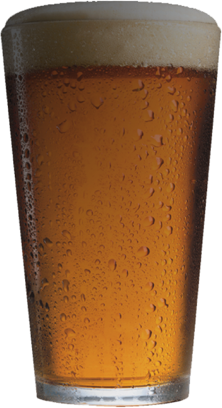 Empty Beer Mug Png Download - Pint Glass Of Beer (450x828), Png Download