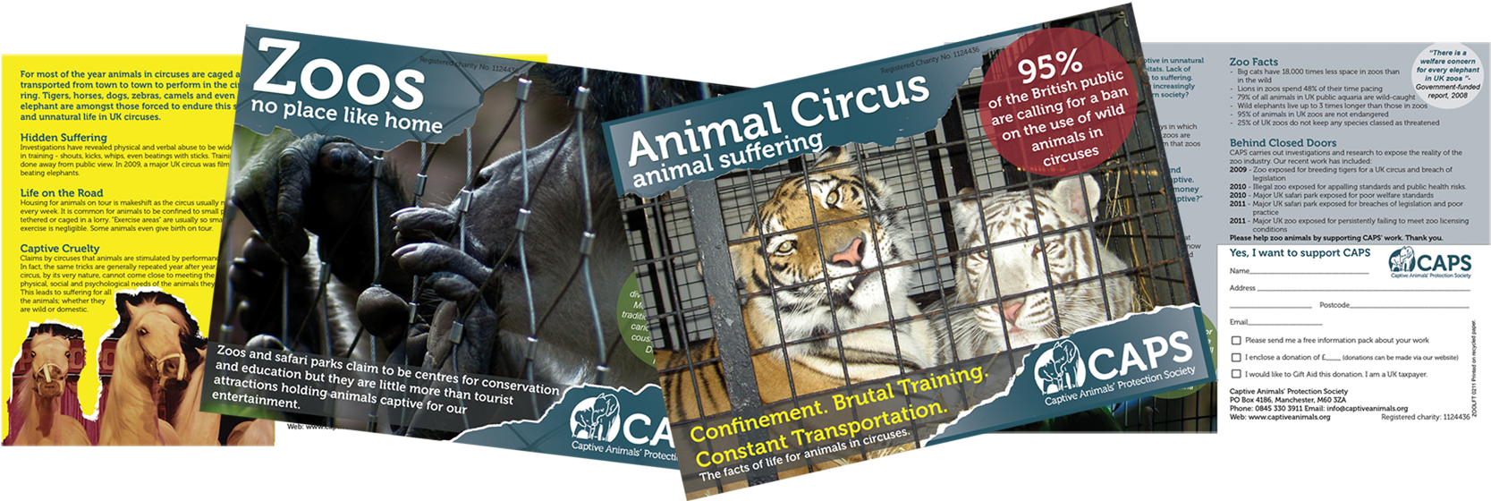 If There Are No Nearby Zoos Or Circuses For You To - Flyer (1689x591), Png Download