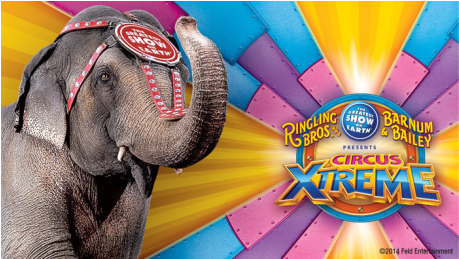 And Barnum & Bailey - Ringling Bros And Barnum & Bailey Cinnamon Animal (700x258), Png Download