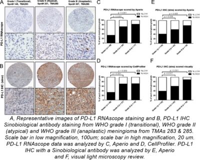 There Are No Effective Medical Treatments For Who Grade - Coin (400x320), Png Download