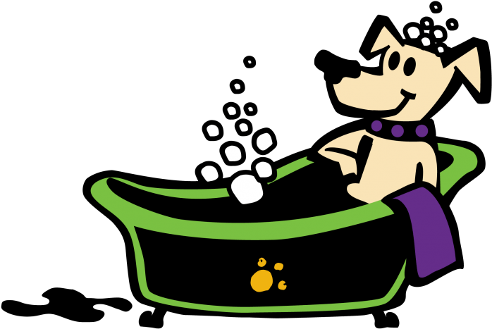 For The Month Of May We Will Be Offering Express Baths - Cartoon (723x528), Png Download