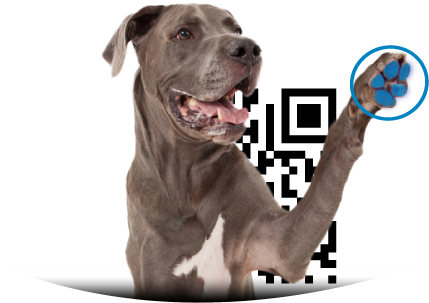Perro Huella - Promika Zoguard Plus - X-large (89-132 Lbs) (3 Dose) (456x322), Png Download