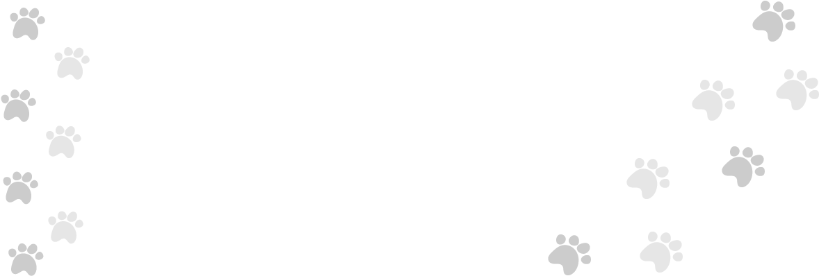 Huellas De Perro - Dog (1240x400), Png Download