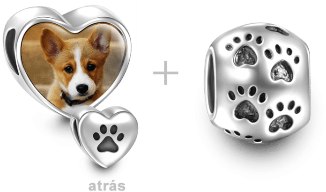 Pets Charms Soufeel Pet Paw Print Personalized (750x750), Png Download