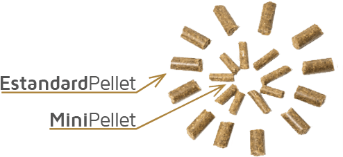 Minipellet - Joint-stock Company (500x255), Png Download