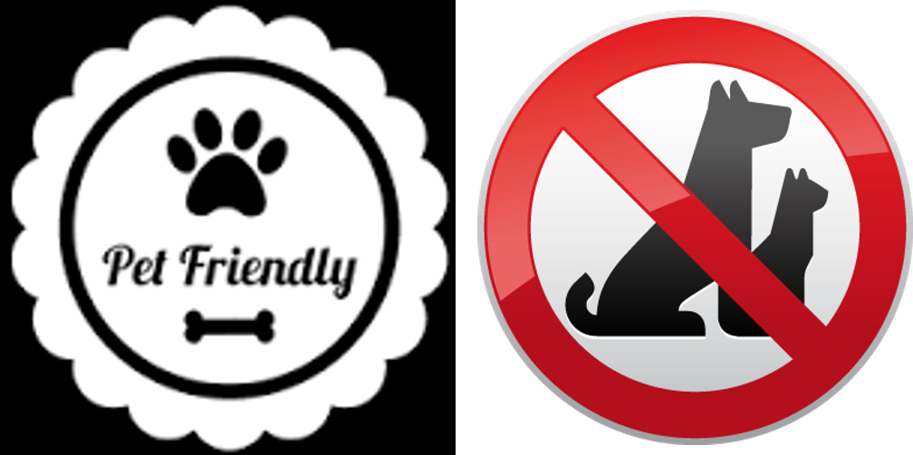 Para Muchos Colombianos , El Perro Y El Gato, Son Parte - Pet (1008x503), Png Download