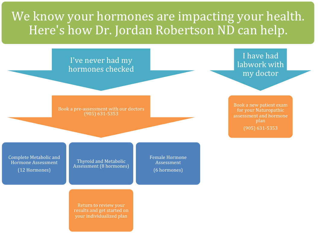 Hormone Flow Chart 2 - Metro North Hospital And Health Service (1068x773), Png Download