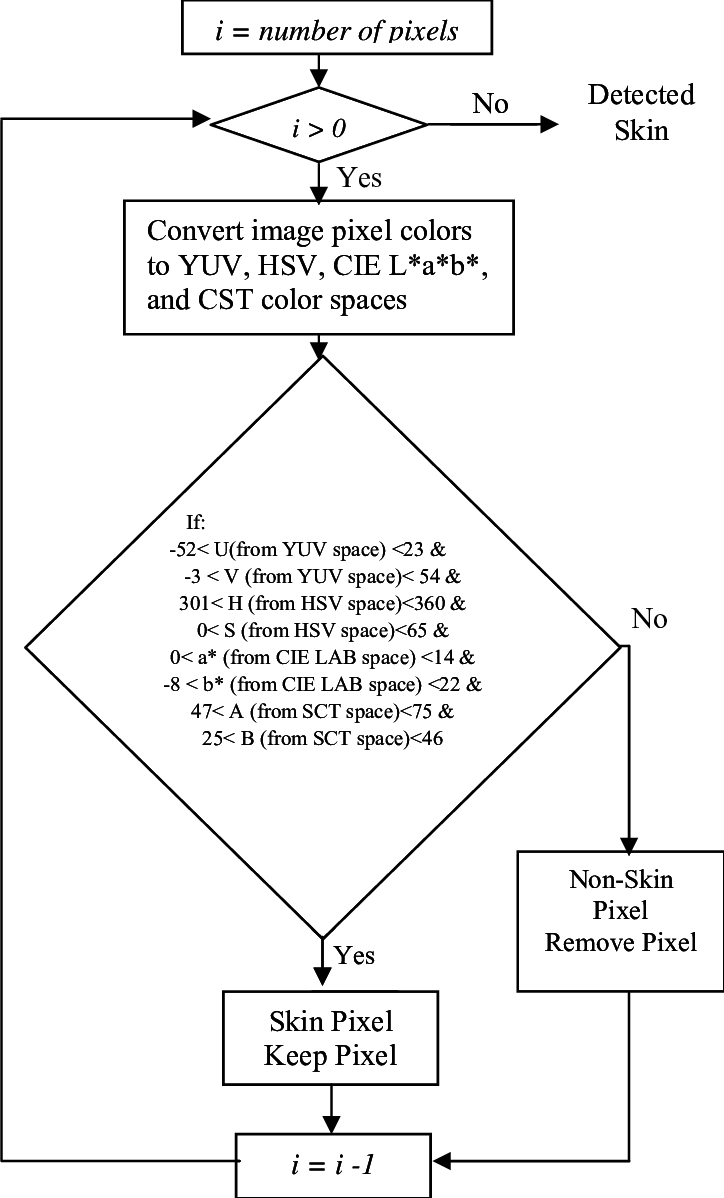 Skin Detection Classifier Flow Chart - Diagram (724x1198), Png Download