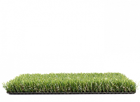 Hedge (480x605), Png Download