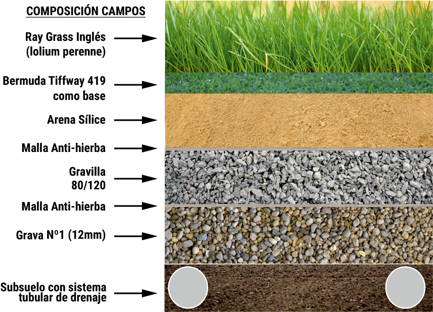 Césped Natural - Marbellla Football Center (1088x644), Png Download