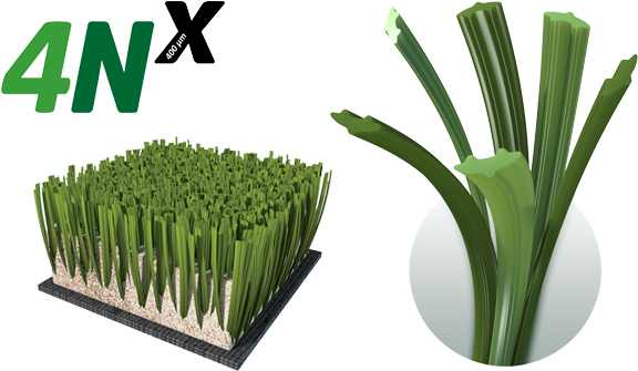 El Césped Perfecto Salta A La Pista - Mondo 4nx (600x353), Png Download