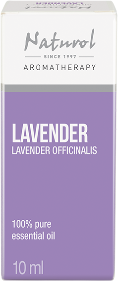 Lavander Oil 10 Ml - More Than 1000 Recipes (650x650), Png Download