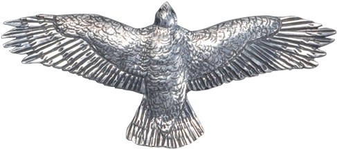 Red-tail Hawk Pin/pendant (640x640), Png Download