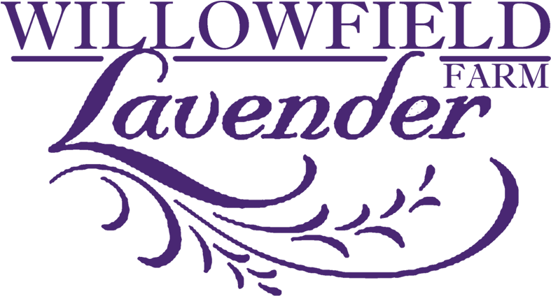 Lavander Png (813x450), Png Download