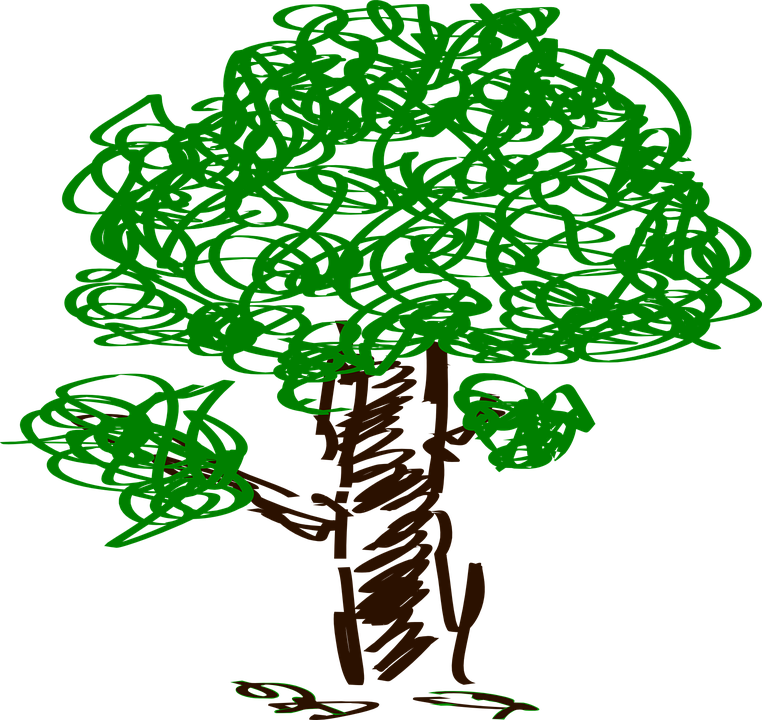 Arbol Png Dibujo - Tree Clip Art (762x720), Png Download