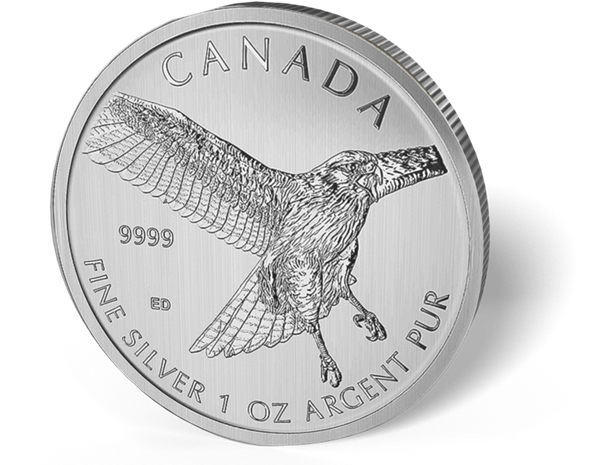 Picture Of 2015 1 Oz Canadian Silver Maple Leaf Red-tail - Red-tailed Hawk (600x487), Png Download