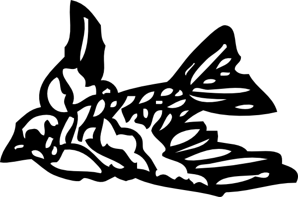 Small Bird (600x397), Png Download