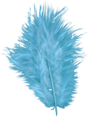 Purple Peacock Feather Clip Art Png Download - Drawing (375x500), Png Download