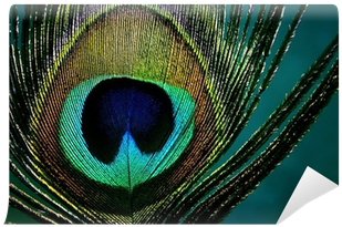 Peacock Feather Png Eye Of A Peacock Feather Vinyl - Eye Of A Peacock (400x400), Png Download